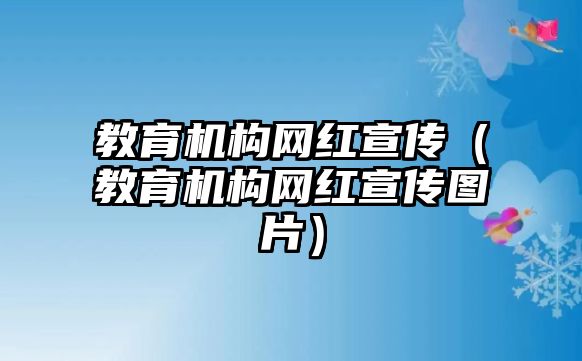 教育機(jī)構(gòu)網(wǎng)紅宣傳（教育機(jī)構(gòu)網(wǎng)紅宣傳圖片）