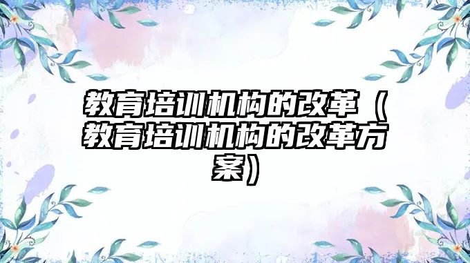 教育培訓(xùn)機構(gòu)的改革（教育培訓(xùn)機構(gòu)的改革方案）