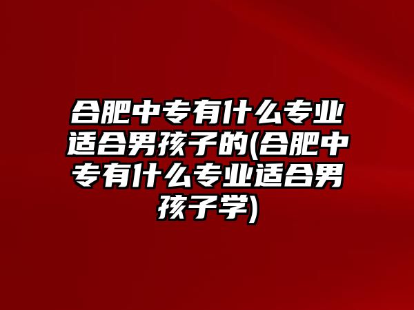 合肥中專有什么專業(yè)適合男孩子的(合肥中專有什么專業(yè)適合男孩子學)