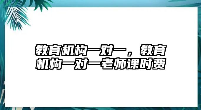 教育機(jī)構(gòu)一對一，教育機(jī)構(gòu)一對一老師課時(shí)費(fèi)