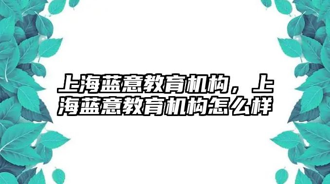 上海藍意教育機構(gòu)，上海藍意教育機構(gòu)怎么樣