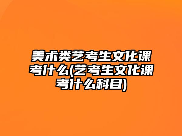 美術(shù)類藝考生文化課考什么(藝考生文化課考什么科目)