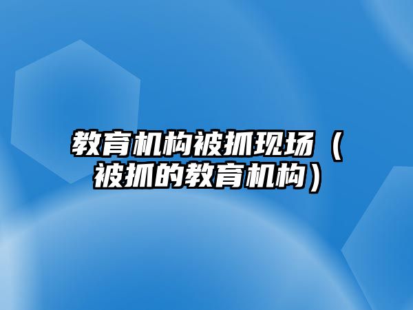 教育機構被抓現(xiàn)場（被抓的教育機構）