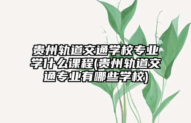 貴州軌道交通學校專業(yè)學什么課程(貴州軌道交通專業(yè)有哪些學校)