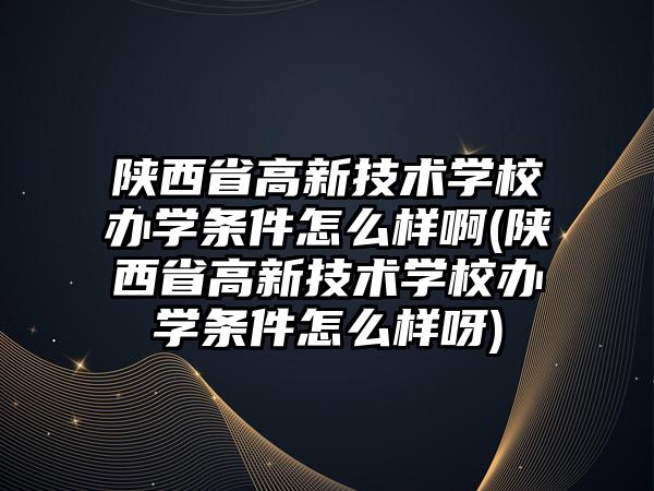 陜西省高新技術(shù)學(xué)校辦學(xué)條件怎么樣啊(陜西省高新技術(shù)學(xué)校辦學(xué)條件怎么樣呀)