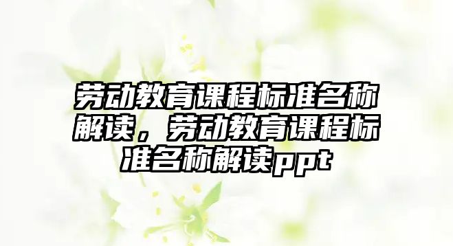 勞動教育課程標準名稱解讀，勞動教育課程標準名稱解讀ppt