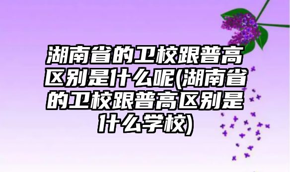 湖南省的衛(wèi)校跟普高區(qū)別是什么呢(湖南省的衛(wèi)校跟普高區(qū)別是什么學(xué)校)