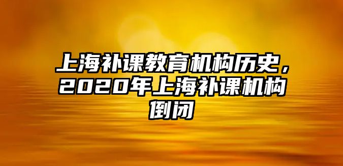 上海補(bǔ)課教育機(jī)構(gòu)歷史，2020年上海補(bǔ)課機(jī)構(gòu)倒閉