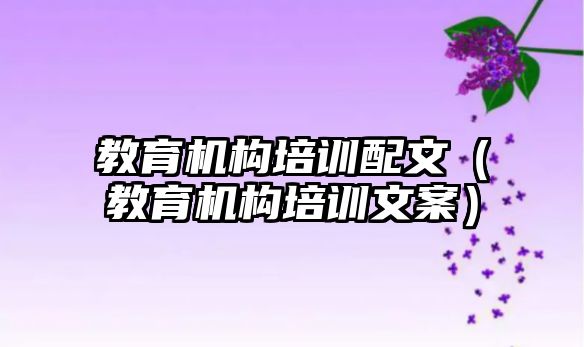 教育機構(gòu)培訓(xùn)配文（教育機構(gòu)培訓(xùn)文案）