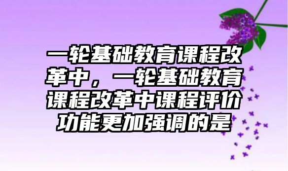 一輪基礎(chǔ)教育課程改革中，一輪基礎(chǔ)教育課程改革中課程評價(jià)功能更加強(qiáng)調(diào)的是