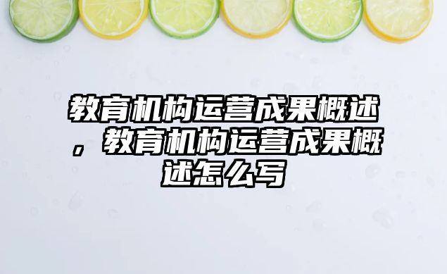 教育機構(gòu)運營成果概述，教育機構(gòu)運營成果概述怎么寫