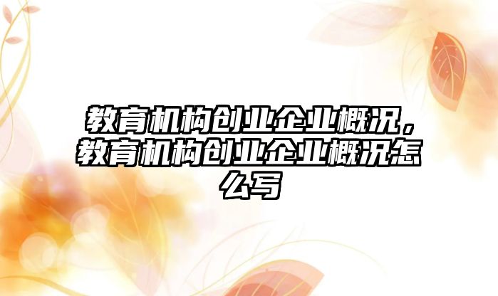 教育機(jī)構(gòu)創(chuàng)業(yè)企業(yè)概況，教育機(jī)構(gòu)創(chuàng)業(yè)企業(yè)概況怎么寫(xiě)