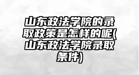 山東政法學(xué)院的錄取政策是怎樣的呢(山東政法學(xué)院錄取條件)