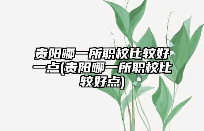 貴陽哪一所職校比較好一點(貴陽哪一所職校比較好點)