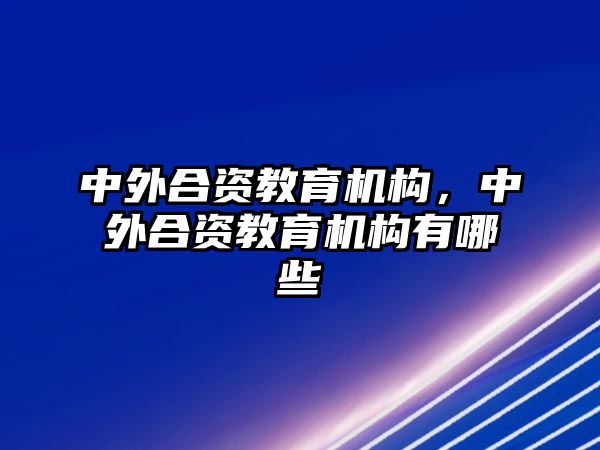 中外合資教育機(jī)構(gòu)，中外合資教育機(jī)構(gòu)有哪些