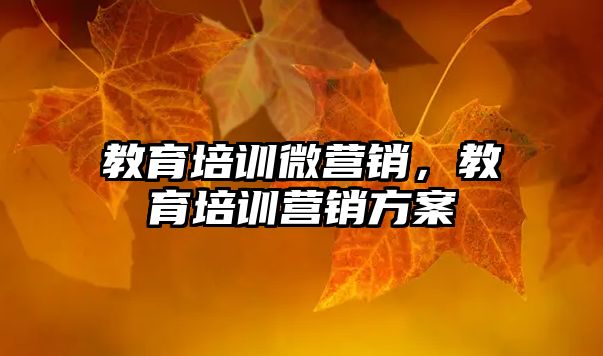 教育培訓(xùn)微營銷，教育培訓(xùn)營銷方案