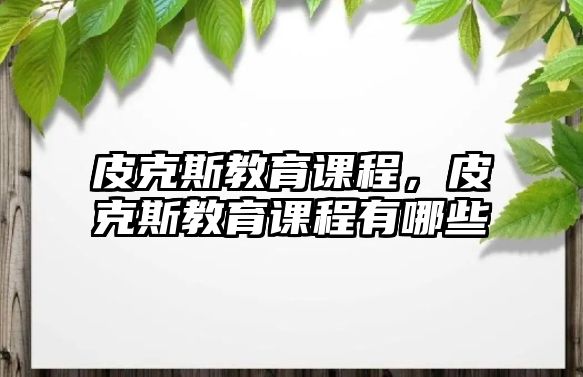 皮克斯教育課程，皮克斯教育課程有哪些