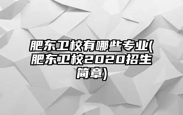 肥東衛(wèi)校有哪些專業(yè)(肥東衛(wèi)校2020招生簡(jiǎn)章)