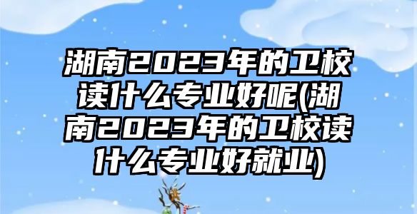 湖南2023年的衛(wèi)校讀什么專業(yè)好呢(湖南2023年的衛(wèi)校讀什么專業(yè)好就業(yè))