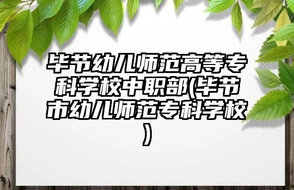 畢節(jié)幼兒師范高等專科學校中職部(畢節(jié)市幼兒師范專科學校)