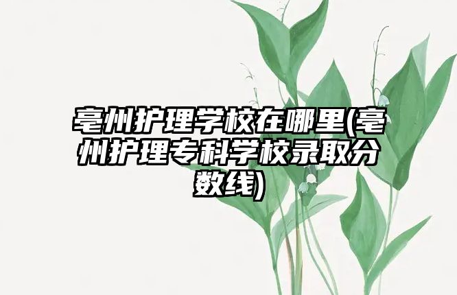 亳州護(hù)理學(xué)校在哪里(亳州護(hù)理專科學(xué)校錄取分?jǐn)?shù)線)