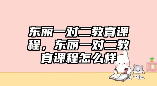 東麗一對二教育課程，東麗一對二教育課程怎么樣