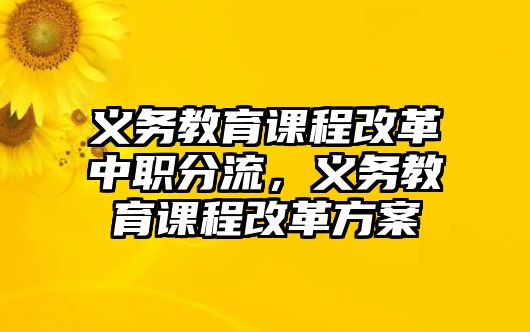 義務(wù)教育課程改革中職分流，義務(wù)教育課程改革方案