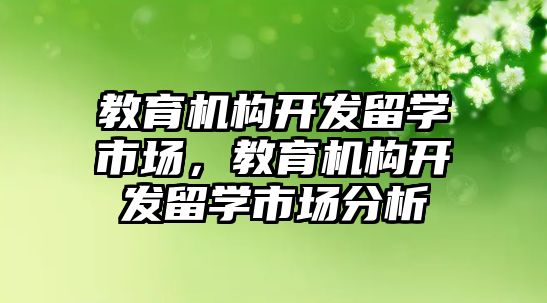 教育機構開發(fā)留學市場，教育機構開發(fā)留學市場分析