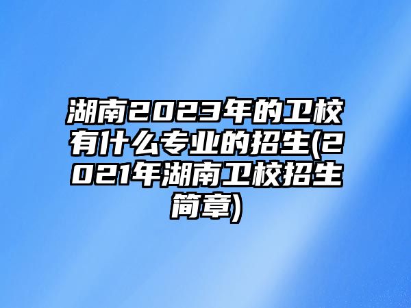 湖南2023年的衛(wèi)校有什么專(zhuān)業(yè)的招生(2021年湖南衛(wèi)校招生簡(jiǎn)章)