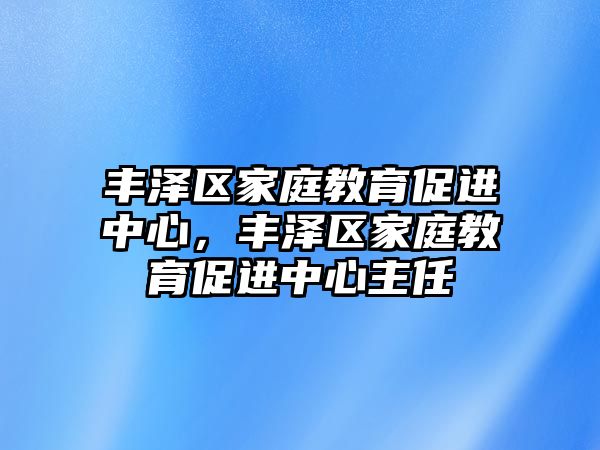 豐澤區(qū)家庭教育促進中心，豐澤區(qū)家庭教育促進中心主任