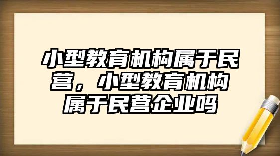 小型教育機構(gòu)屬于民營，小型教育機構(gòu)屬于民營企業(yè)嗎