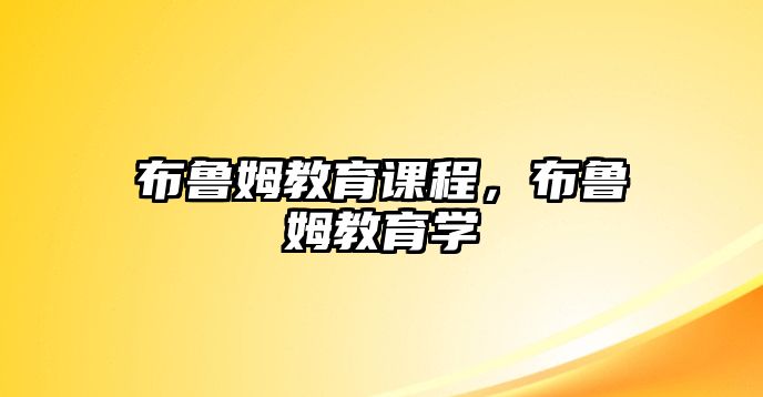 布魯姆教育課程，布魯姆教育學(xué)