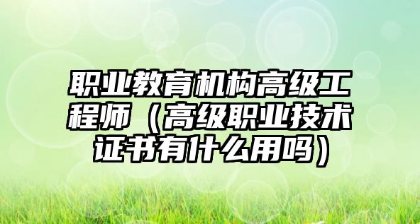 職業(yè)教育機(jī)構(gòu)高級(jí)工程師（高級(jí)職業(yè)技術(shù)證書有什么用嗎）