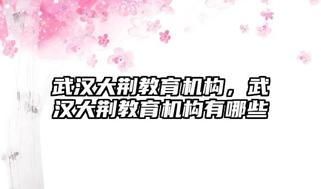 武漢大荊教育機(jī)構(gòu)，武漢大荊教育機(jī)構(gòu)有哪些