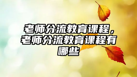 老師分流教育課程，老師分流教育課程有哪些