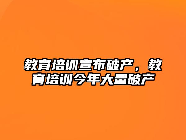 教育培訓宣布破產，教育培訓今年大量破產