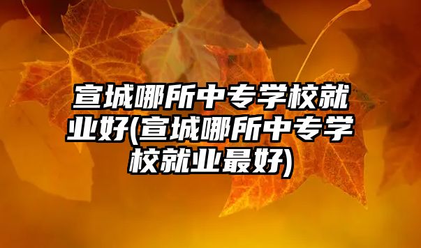 宣城哪所中專學校就業(yè)好(宣城哪所中專學校就業(yè)最好)