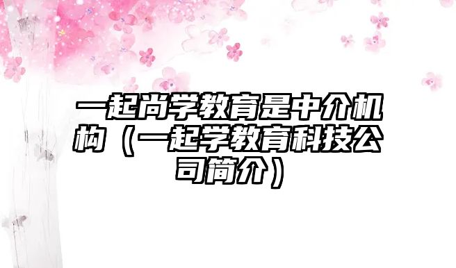 一起尚學(xué)教育是中介機(jī)構(gòu)（一起學(xué)教育科技公司簡介）