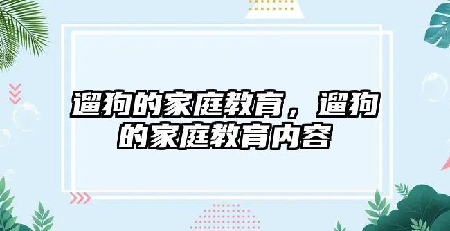 遛狗的家庭教育，遛狗的家庭教育內(nèi)容