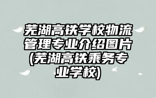 蕪湖高鐵學校物流管理專業(yè)介紹圖片(蕪湖高鐵乘務專業(yè)學校)