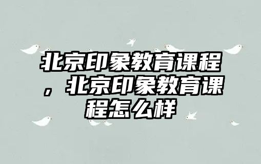 北京印象教育課程，北京印象教育課程怎么樣