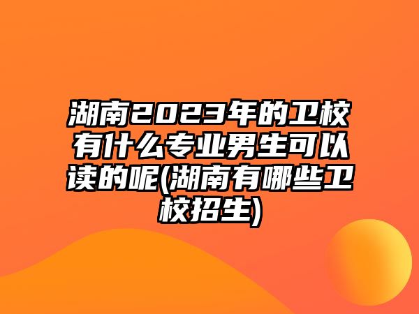 湖南2023年的衛(wèi)校有什么專業(yè)男生可以讀的呢(湖南有哪些衛(wèi)校招生)