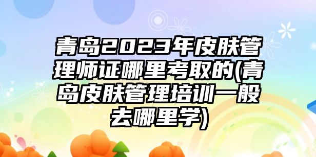 青島2023年皮膚管理師證哪里考取的(青島皮膚管理培訓(xùn)一般去哪里學(xué))