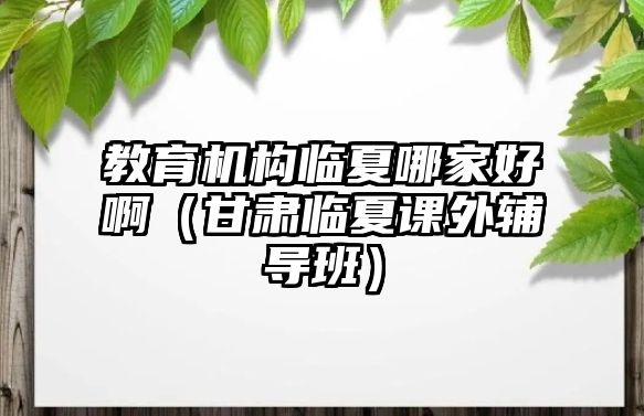 教育機(jī)構(gòu)臨夏哪家好啊（甘肅臨夏課外輔導(dǎo)班）