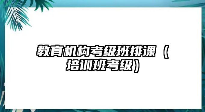 教育機(jī)構(gòu)考級(jí)班排課（培訓(xùn)班考級(jí)）