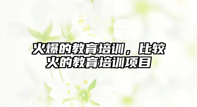 火爆的教育培訓，比較火的教育培訓項目