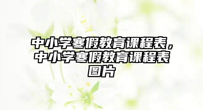 中小學(xué)寒假教育課程表，中小學(xué)寒假教育課程表圖片