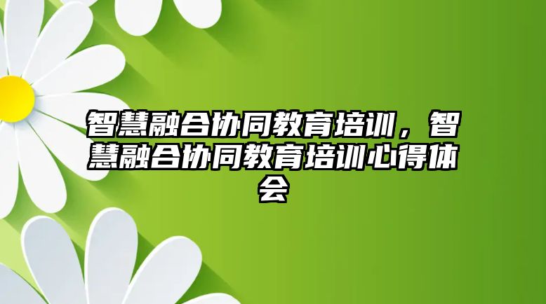 智慧融合協(xié)同教育培訓(xùn)，智慧融合協(xié)同教育培訓(xùn)心得體會(huì)