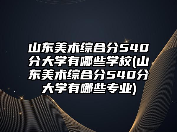 山東美術綜合分540分大學有哪些學校(山東美術綜合分540分大學有哪些專業(yè))