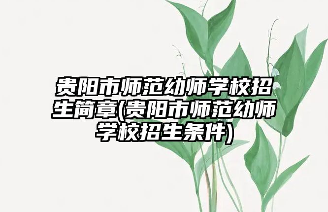 貴陽市師范幼師學(xué)校招生簡章(貴陽市師范幼師學(xué)校招生條件)